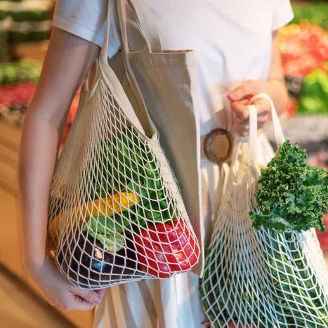 Eco Net Farmers Market Grocery Shopping Bag Set Folding String
